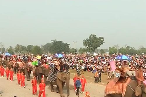 Elephant Festival